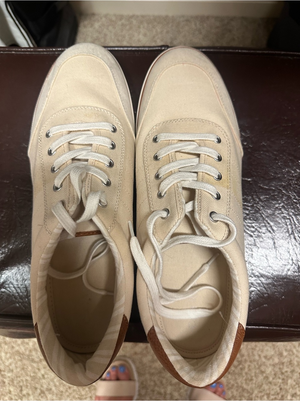 Men's Canvas Casual Sneakers in Beige with saddle trim size 11.5 Club Room